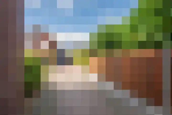 Rijtakker 40 Meijel thumbnail 42