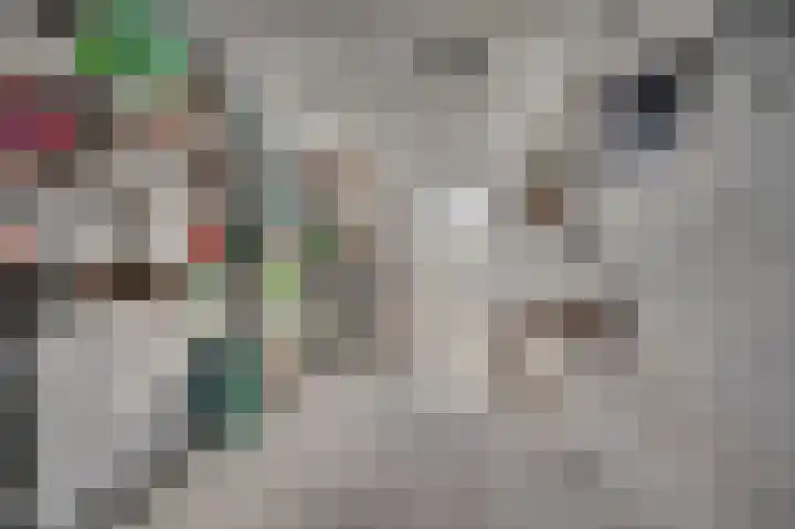 Rijtakker 40 Meijel thumbnail 43