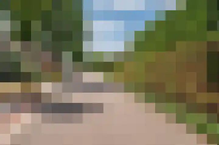 Rijtakker 40 Meijel thumbnail 45