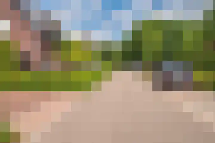 Rijtakker 40 Meijel thumbnail 46