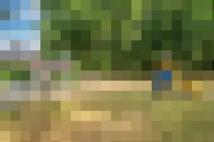 Rijtakker 40 Meijel thumbnail 47
