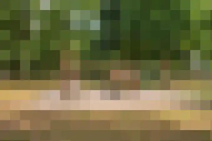 Rijtakker 40 Meijel thumbnail 48