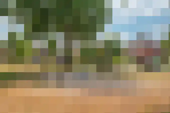 Rijtakker 40 Meijel thumbnail 49