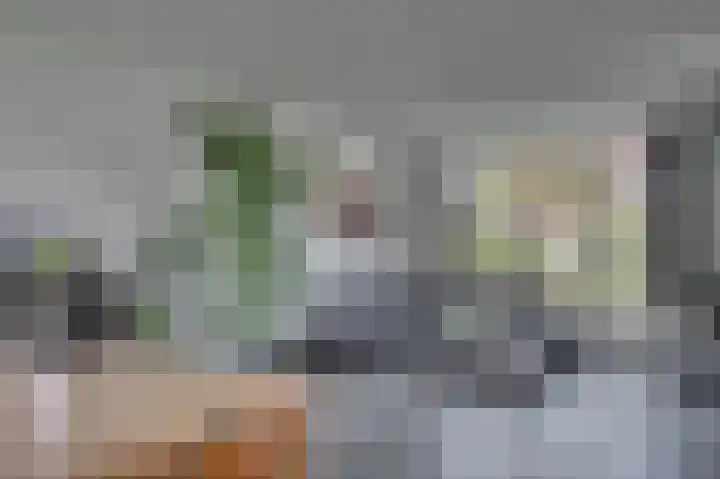 Rijtakker 40 Meijel thumbnail 7