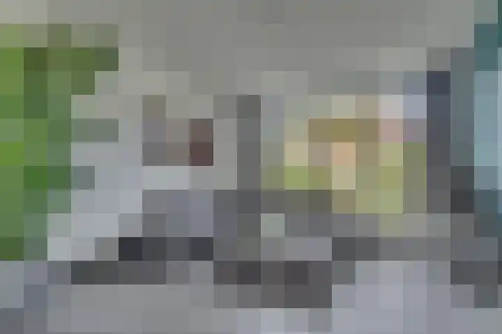 Rijtakker 40 Meijel thumbnail 9