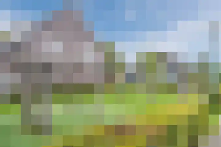 Rijthof 4 a Riethoven thumbnail 33