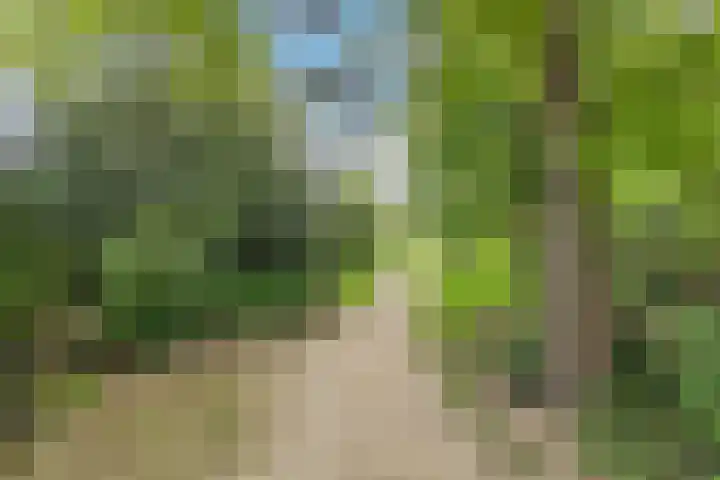 Rijthof 4 a Riethoven thumbnail 35