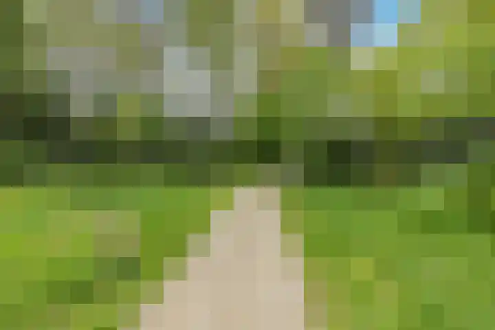 Rijthof 4 a Riethoven thumbnail 36