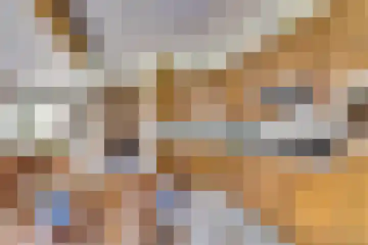 Rijtselaan 38 Raamsdonksveer thumbnail 10