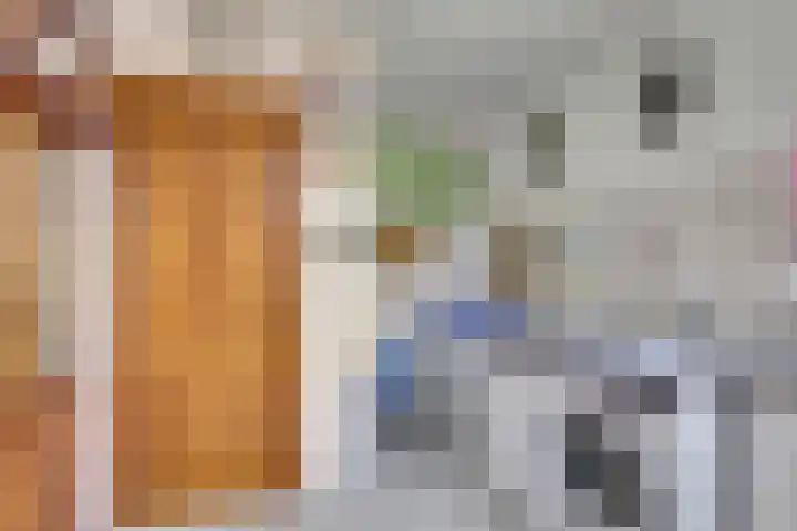 Rijtselaan 38 Raamsdonksveer thumbnail 14