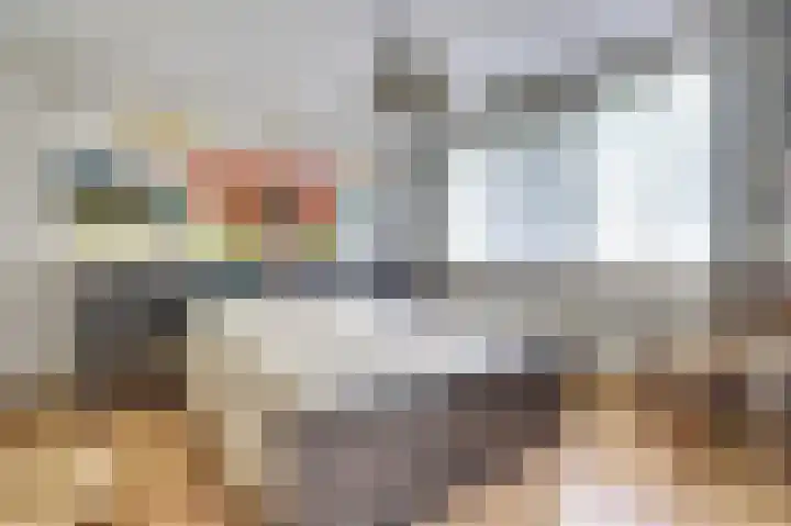 Rijtselaan 38 Raamsdonksveer thumbnail 19