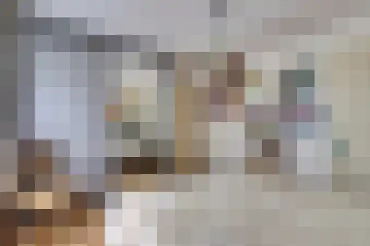 Rijtselaan 38 Raamsdonksveer thumbnail 20