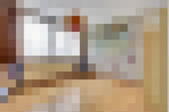 Rijtselaan 38 Raamsdonksveer thumbnail 23