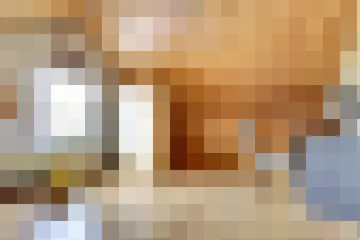 Rijtselaan 38 Raamsdonksveer thumbnail 25