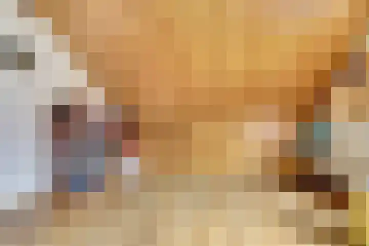 Rijtselaan 38 Raamsdonksveer thumbnail 26