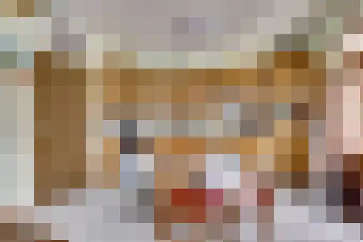 Rijtselaan 38 Raamsdonksveer thumbnail 9