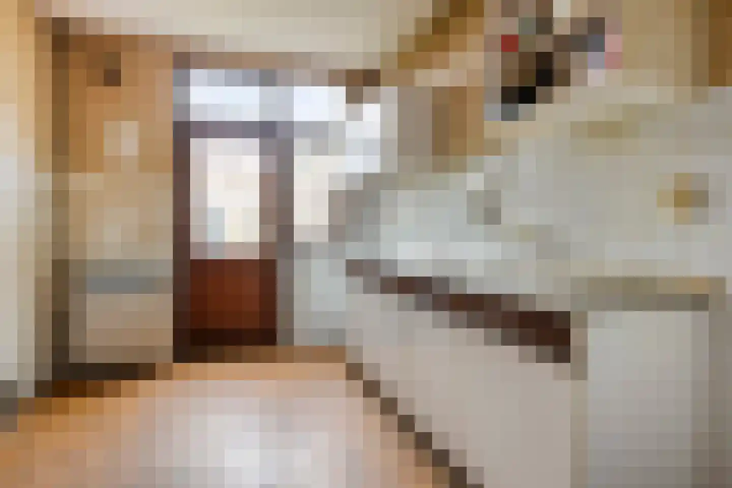 Rijtselaan 6 Raamsdonksveer thumbnail 10