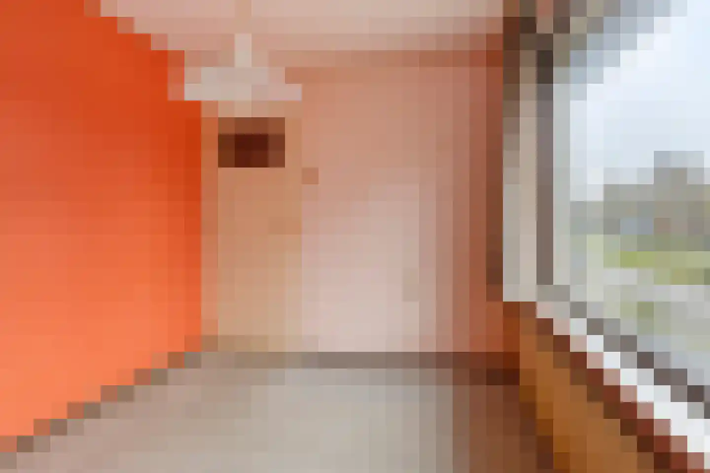 Rijtselaan 6 Raamsdonksveer thumbnail 14