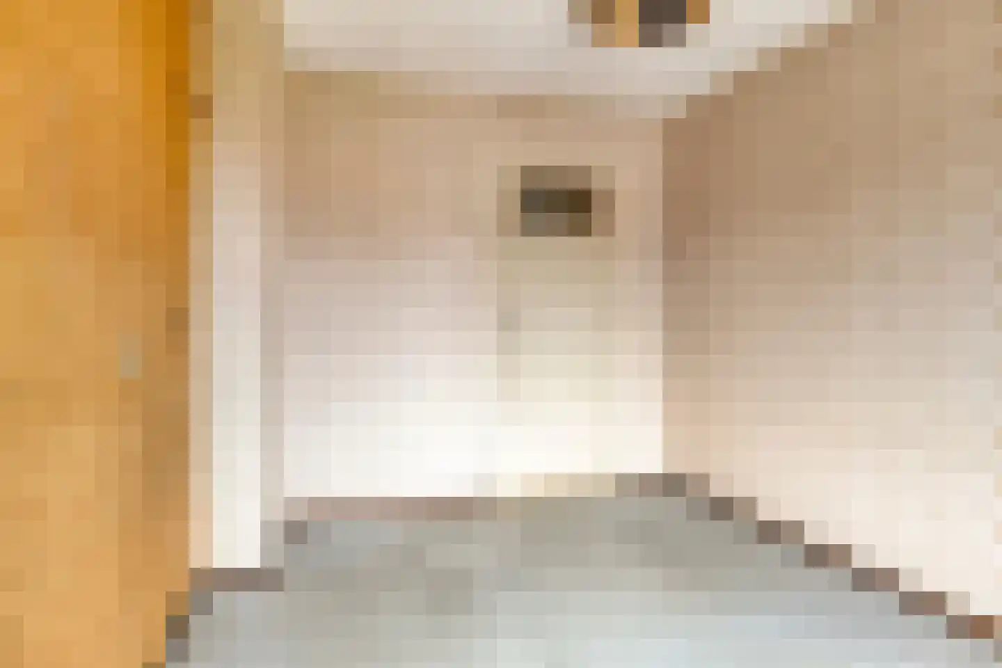 Rijtselaan 6 Raamsdonksveer thumbnail 16