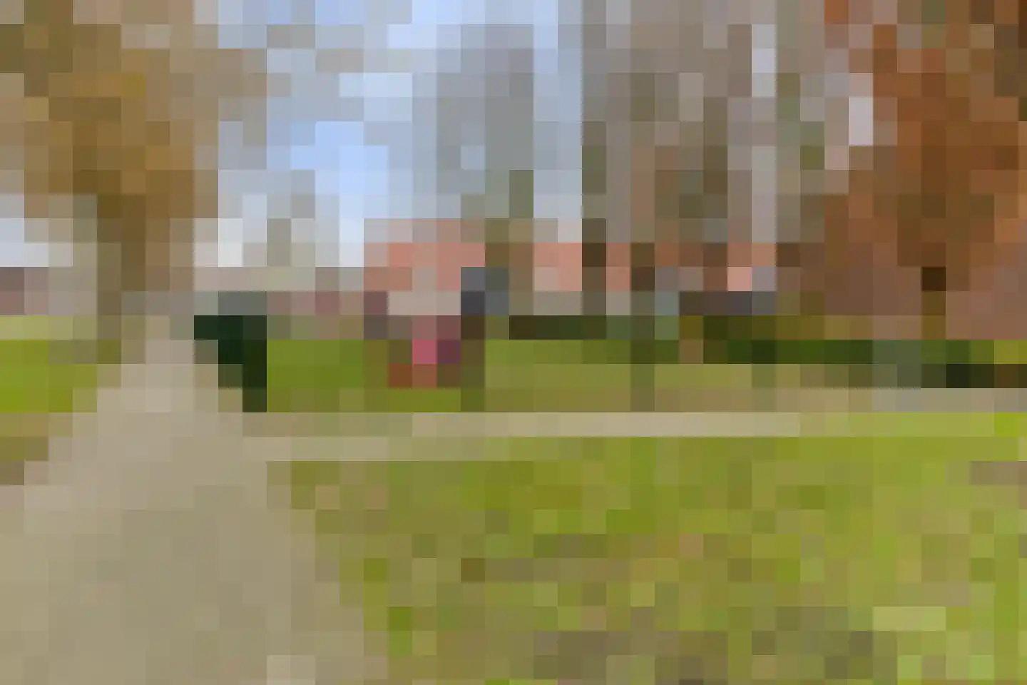 Rijtselaan 6 Raamsdonksveer thumbnail 31