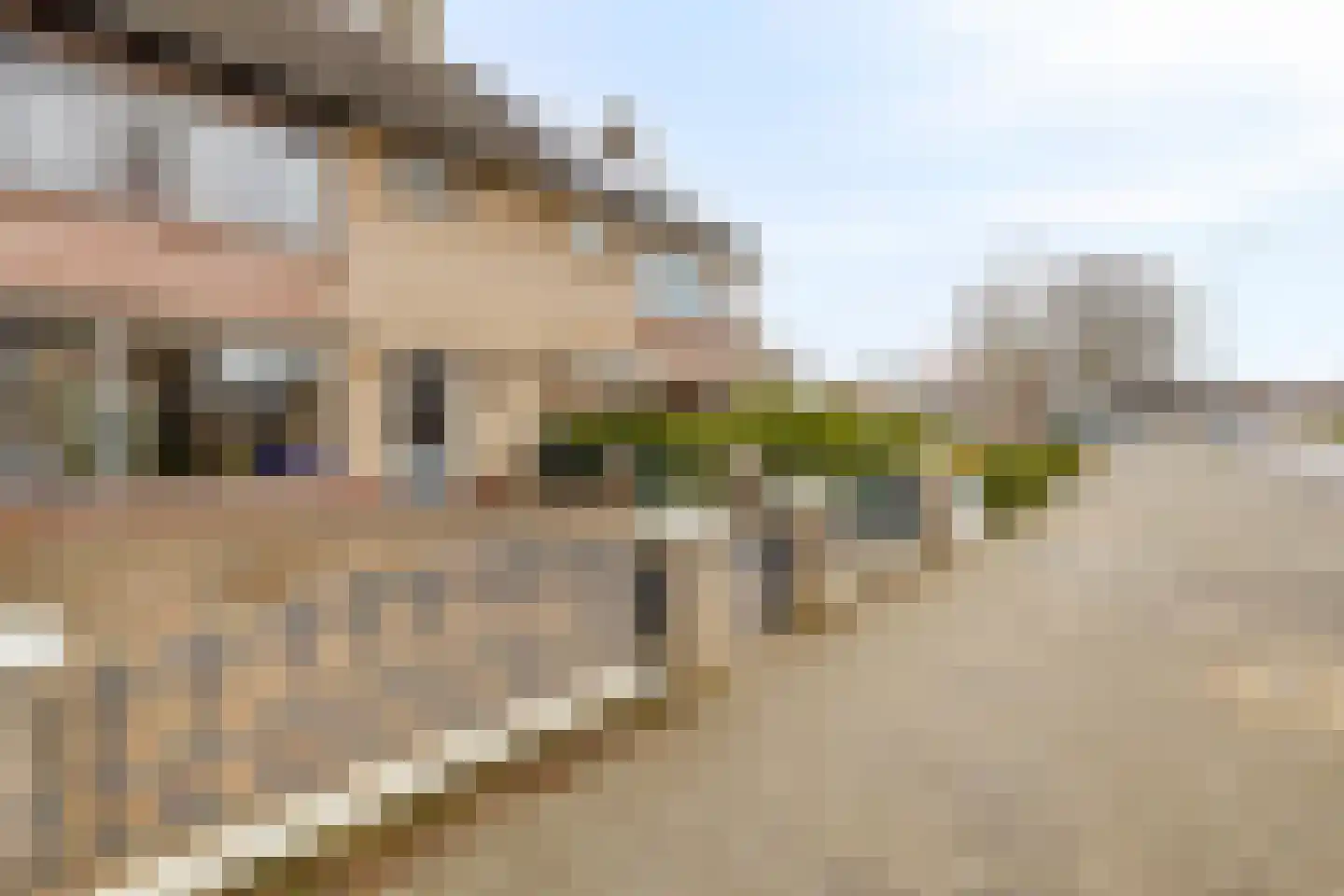 Rijtselaan 6 Raamsdonksveer thumbnail 4