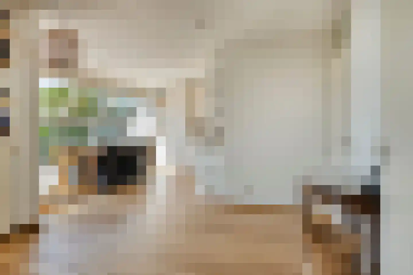 Rijtseweg 11 Prinsenbeek thumbnail 12