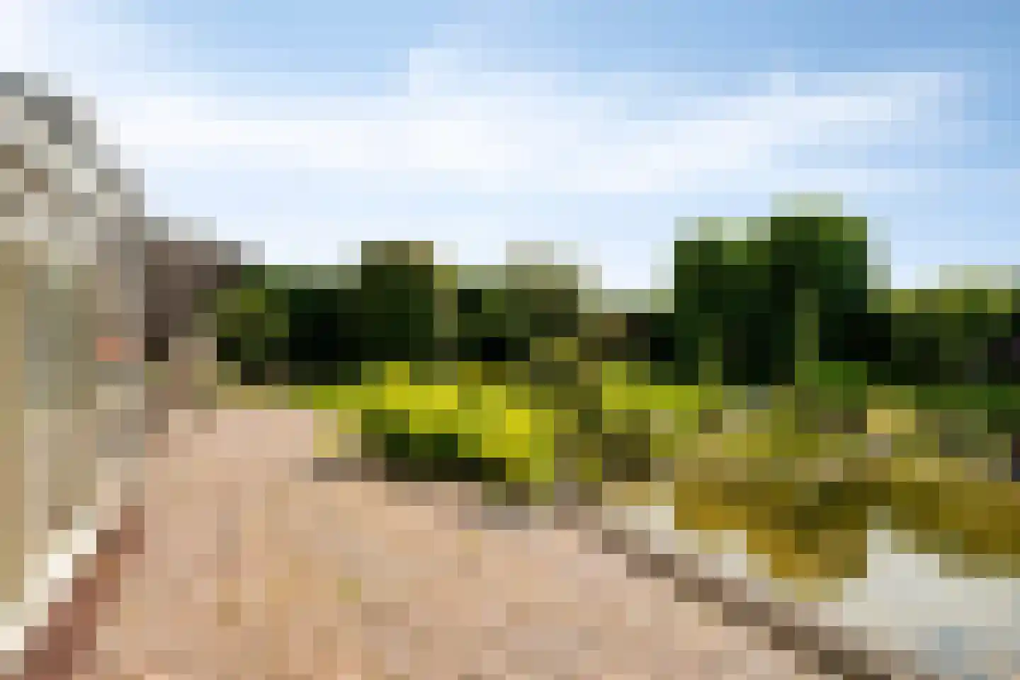 Rijtseweg 11 Prinsenbeek thumbnail 31