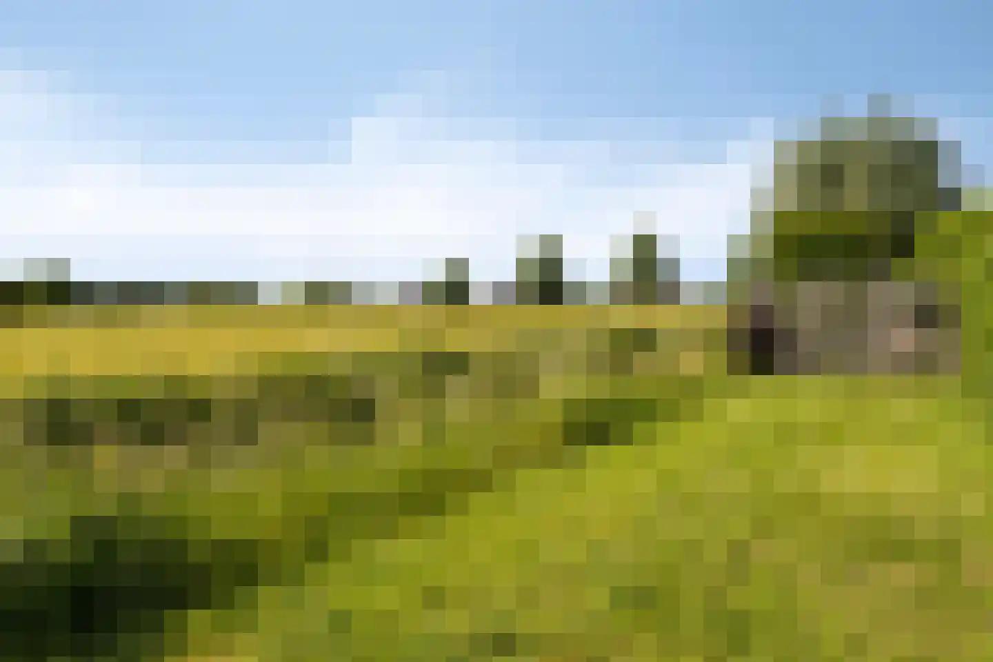 Rijtseweg 11 Prinsenbeek thumbnail 37
