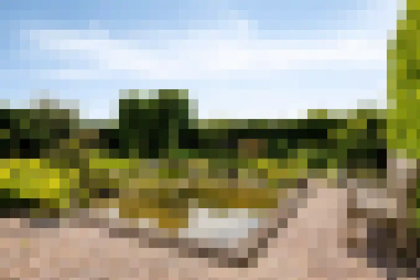 Rijtseweg 11 Prinsenbeek thumbnail 4