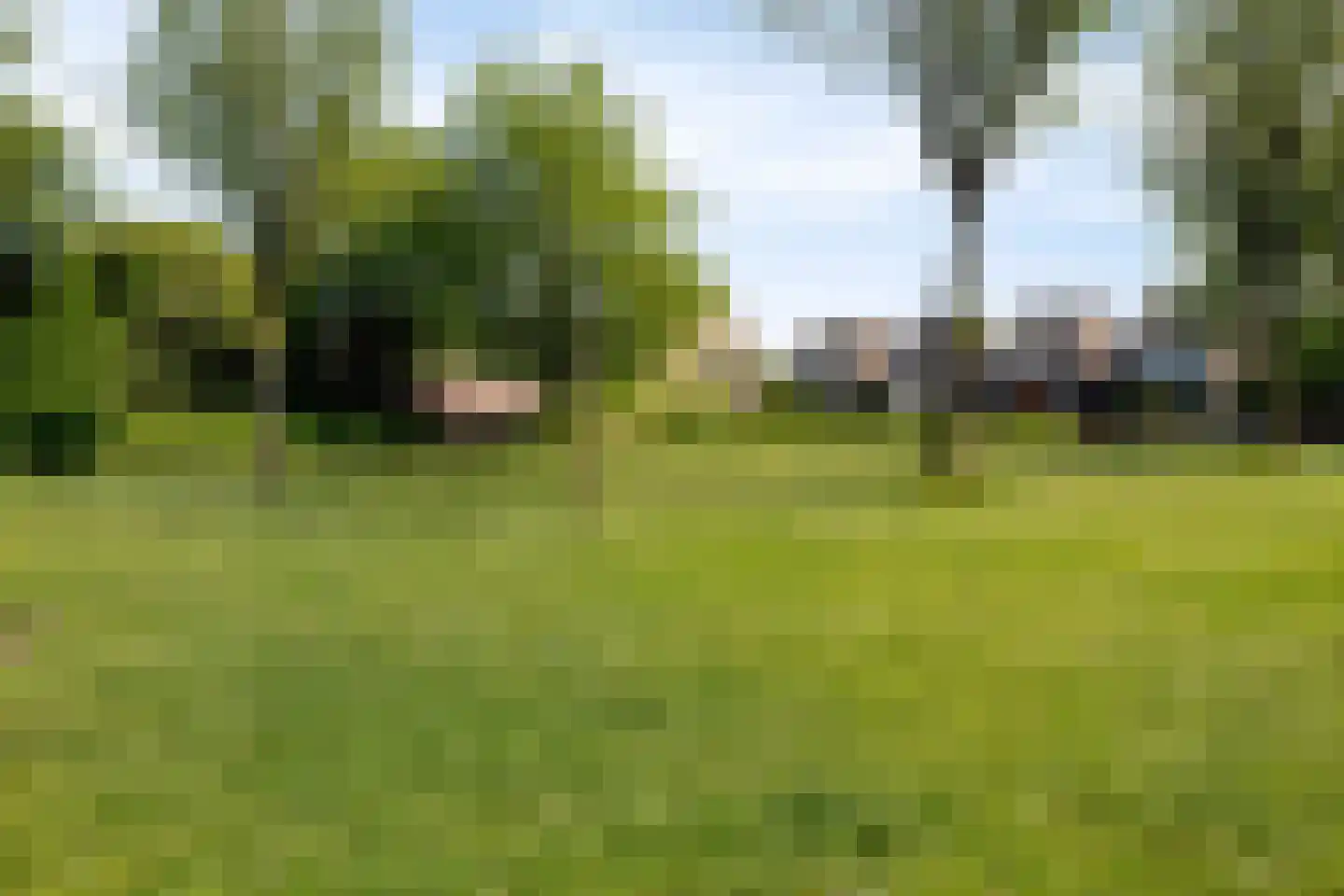 Rijtseweg 11 Prinsenbeek thumbnail 41