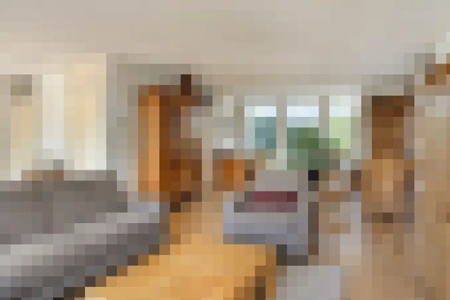 Rijtseweg 11 Prinsenbeek thumbnail 7