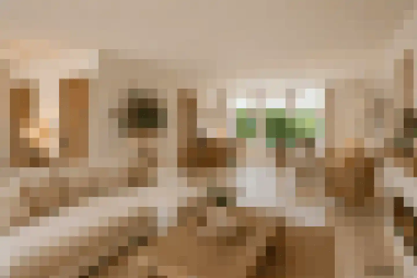 Rijtseweg 11 Prinsenbeek thumbnail 8