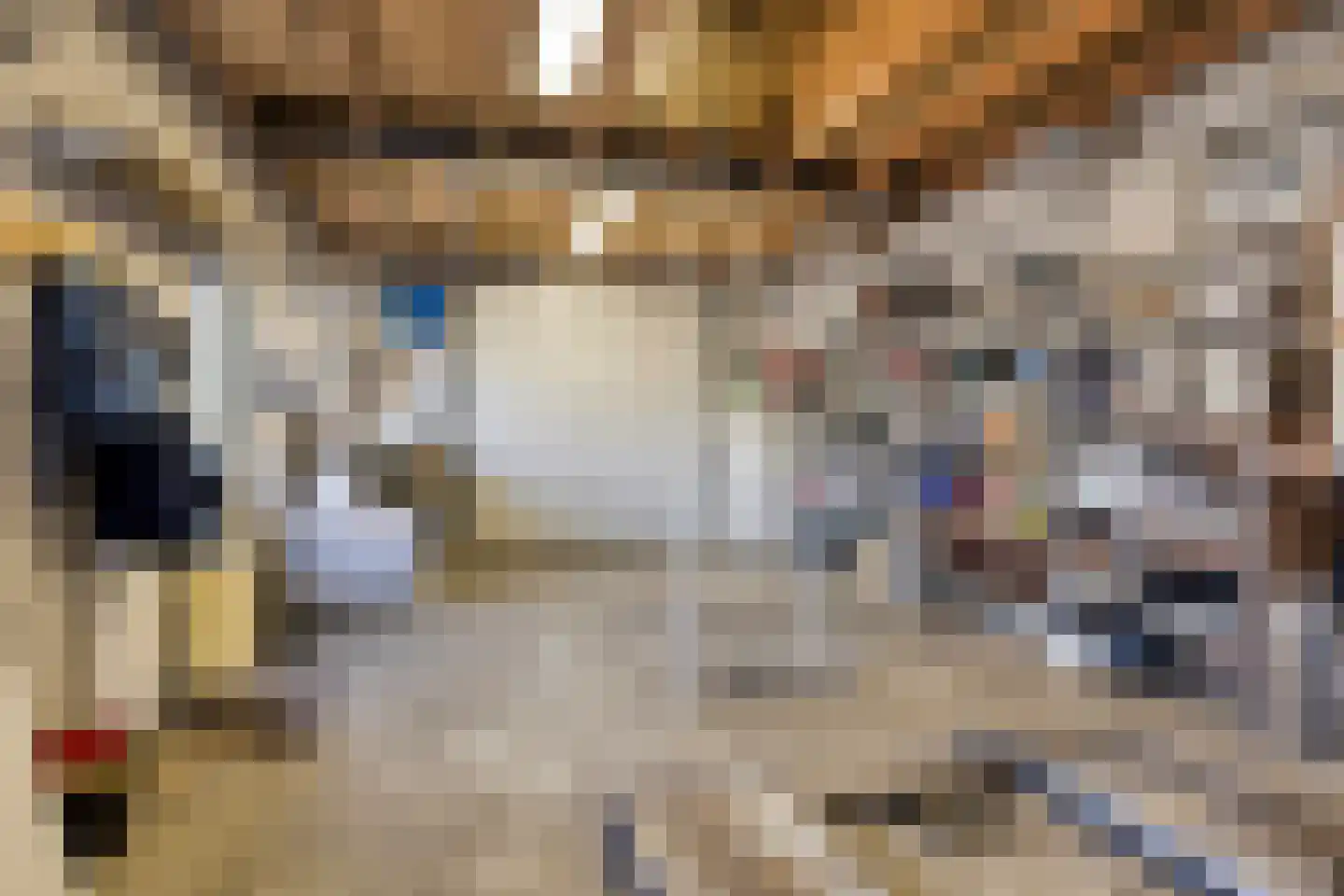 Rijtseweg 15 Diessen thumbnail 41