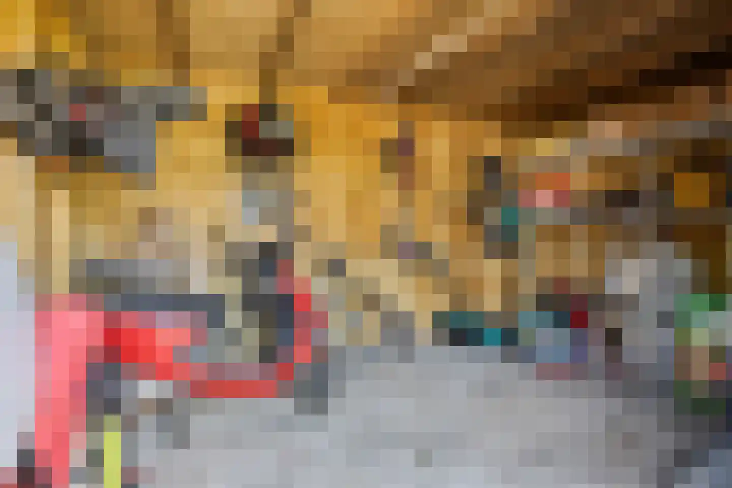 Rijtseweg 15 Diessen thumbnail 42