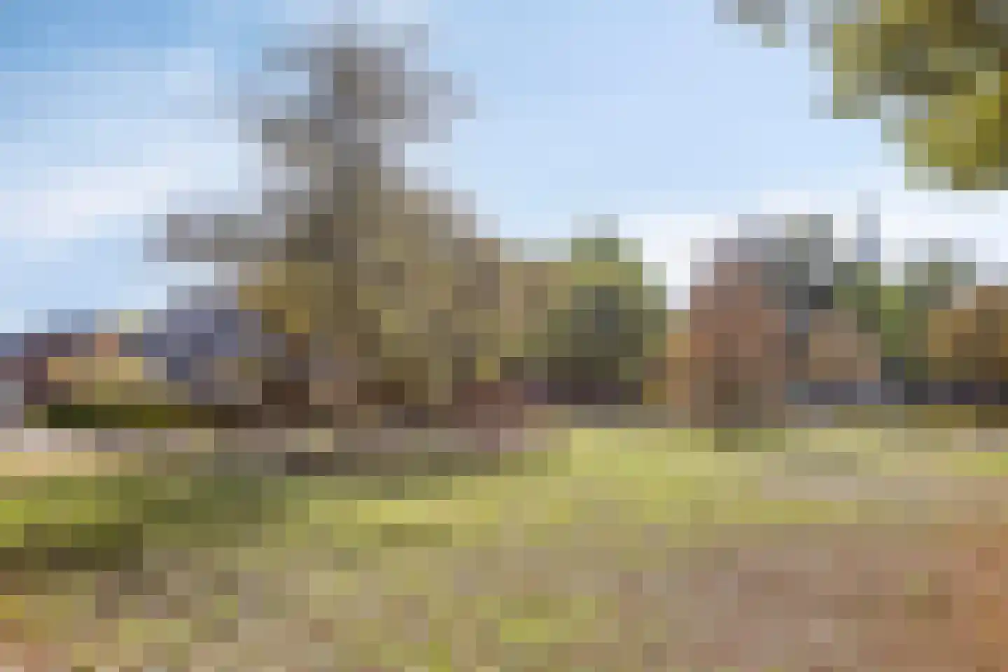 Rijtseweg 15 Diessen thumbnail 44