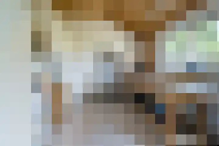 Rijtseweg 40 Diessen thumbnail 19