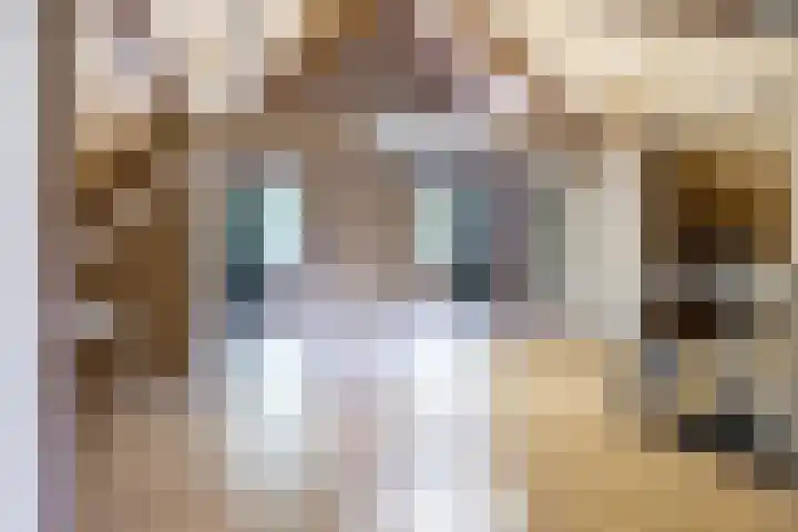 Rijtseweg 40 Diessen thumbnail 31