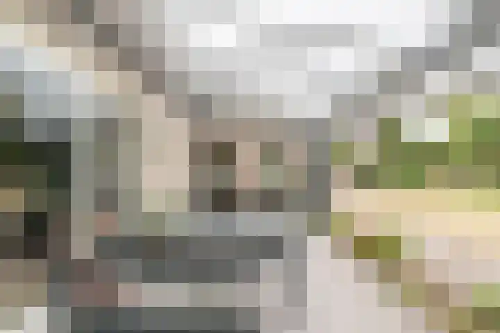 Rijtseweg 40 Diessen thumbnail 35