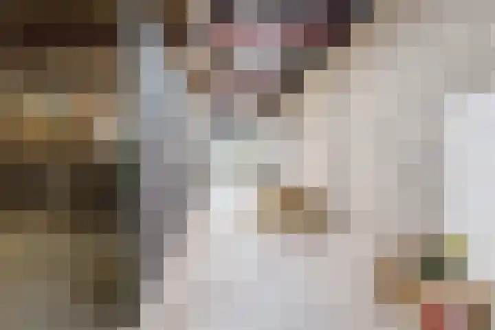 Rijtseweg 40 Diessen thumbnail 40