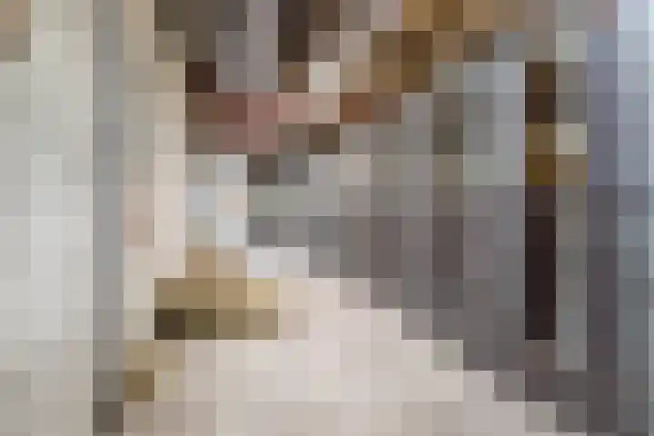 Rijtseweg 40 Diessen thumbnail 41