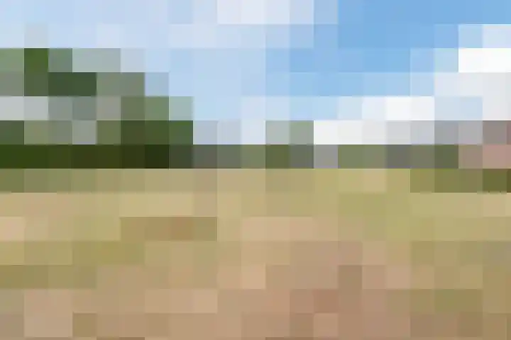 Rijtseweg 40 Diessen thumbnail 43