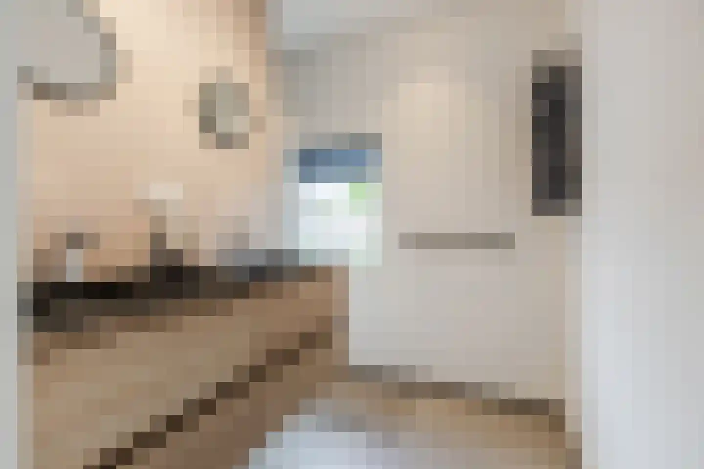 Rijtseweg 5 Diessen thumbnail 27
