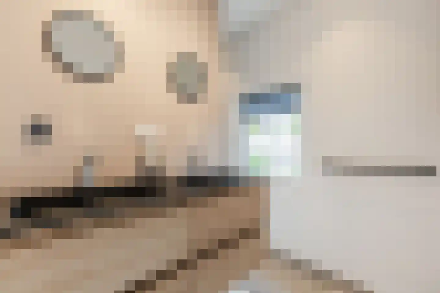 Rijtseweg 5 Diessen thumbnail 28
