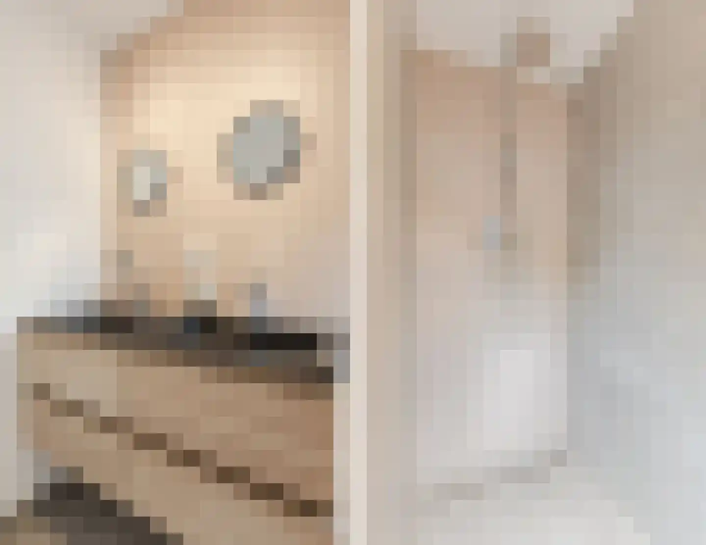 Rijtseweg 5 Diessen thumbnail 30