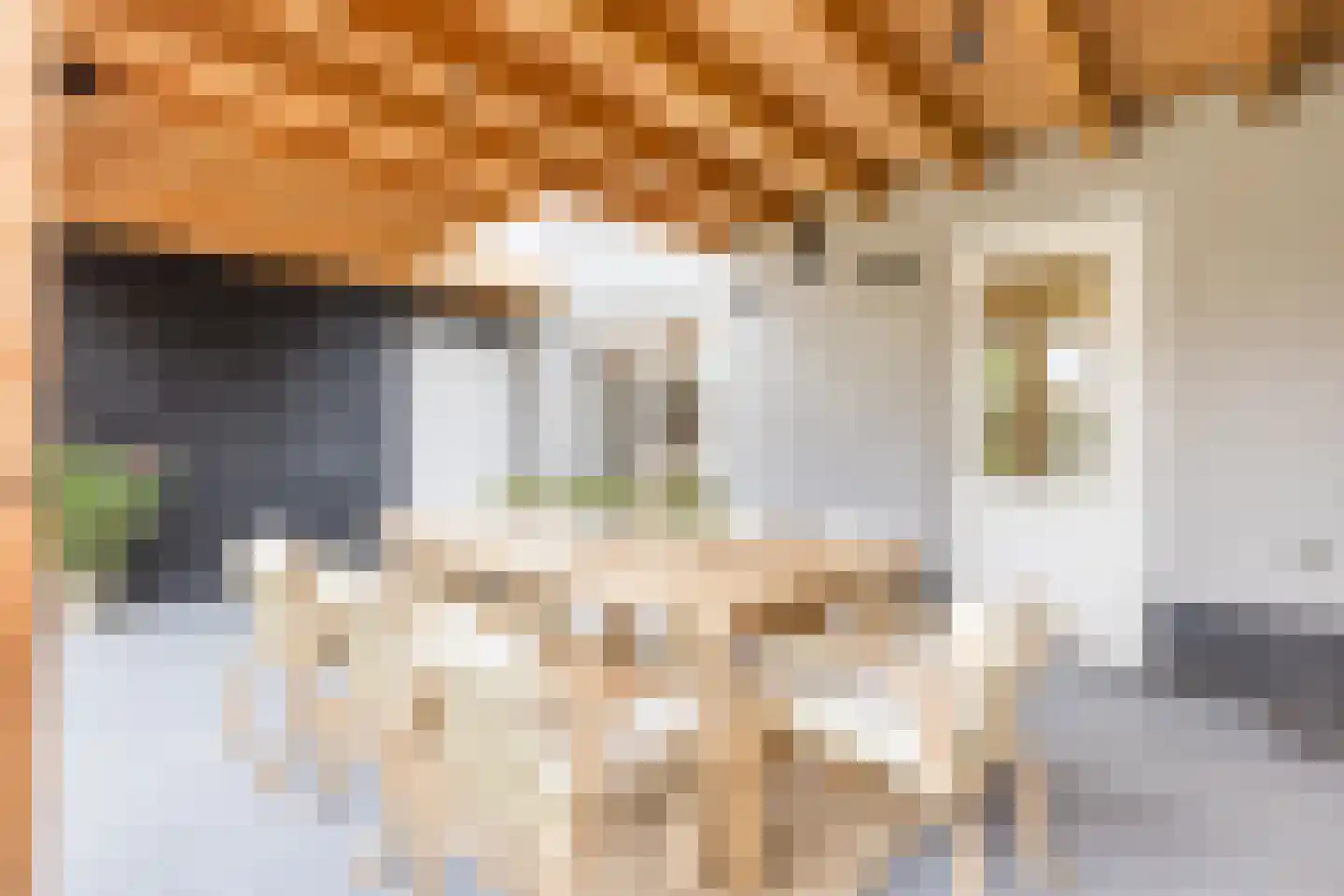 Rijtseweg 5 Diessen thumbnail 32