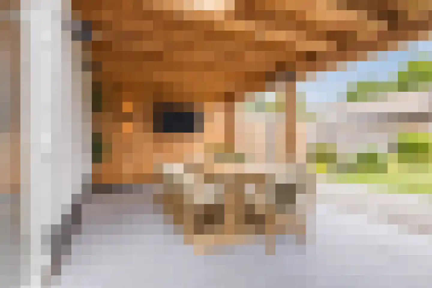Rijtseweg 5 Diessen thumbnail 34