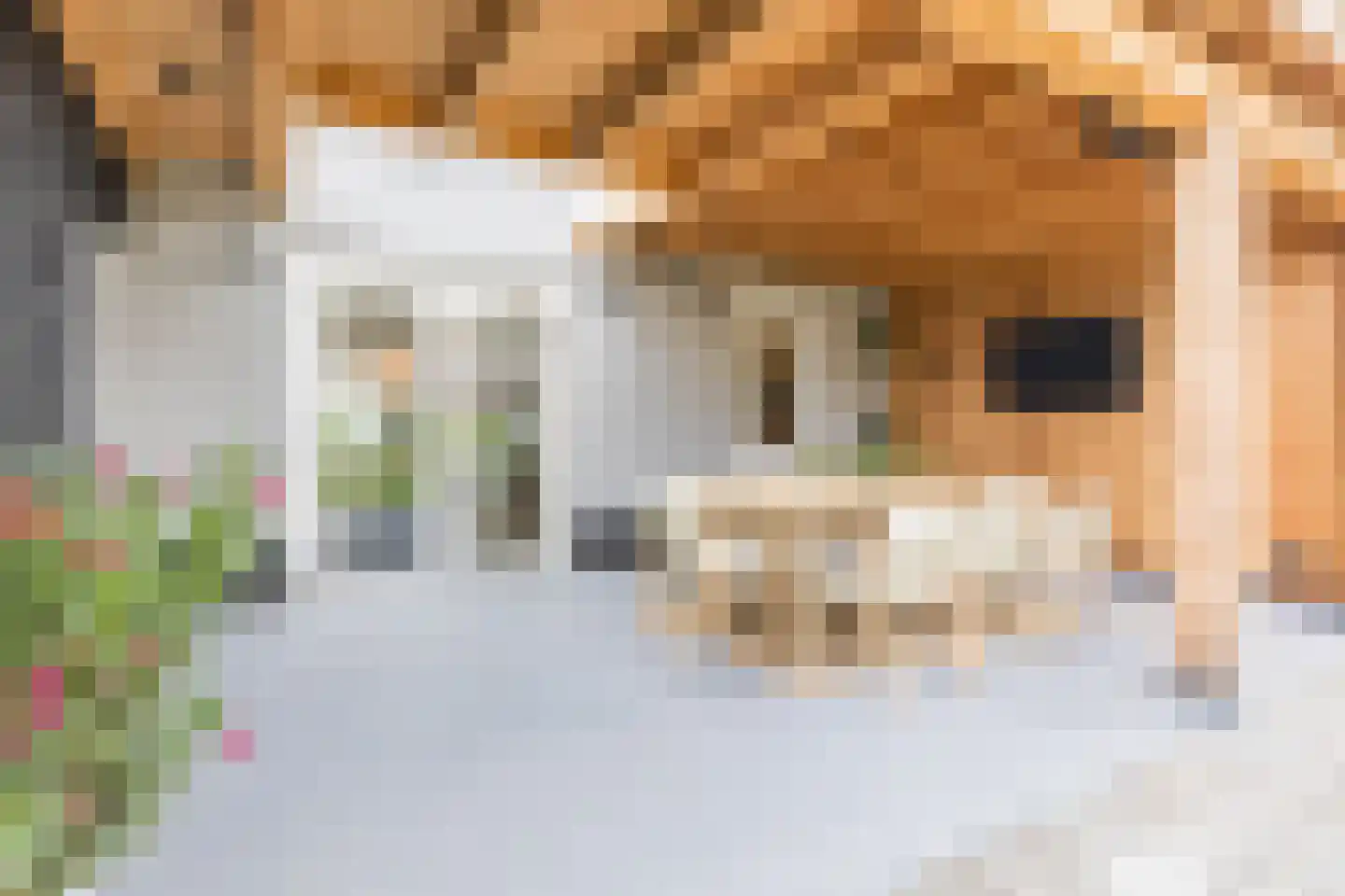 Rijtseweg 5 Diessen thumbnail 35