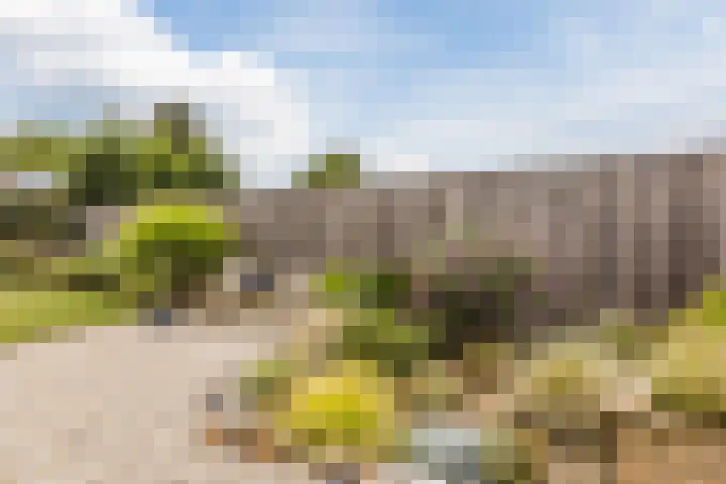 Rijtseweg 5 Diessen thumbnail 41