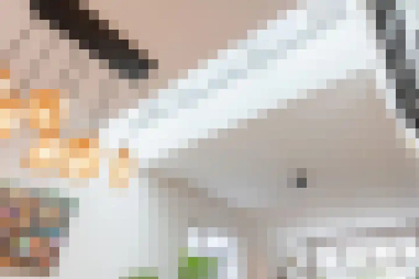 Rijtseweg 5 Diessen thumbnail 7