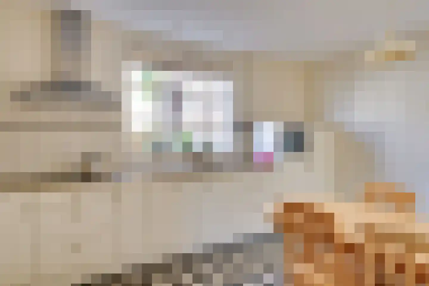 Rijtseweg 56 Diessen thumbnail 13